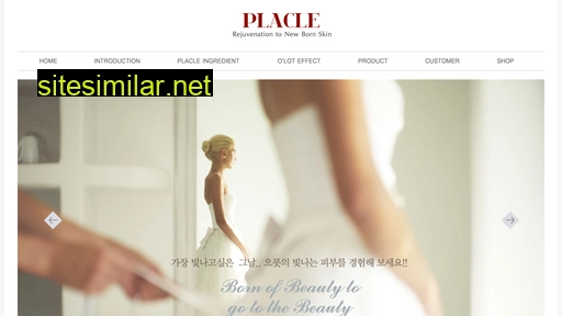 placle.com alternative sites