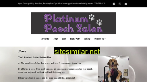 platinumpoochsalon.com alternative sites