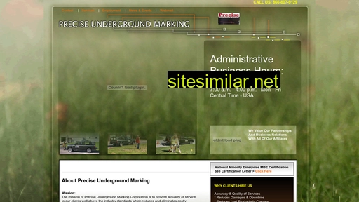 preciseundergroundmarking.com alternative sites