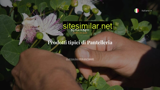 prodottidipantelleria.com alternative sites