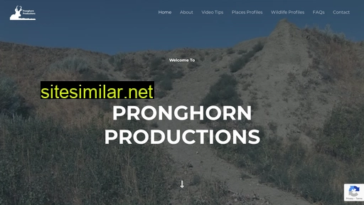 pronghornproductions.com alternative sites