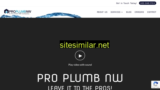 proplumbnw.com alternative sites