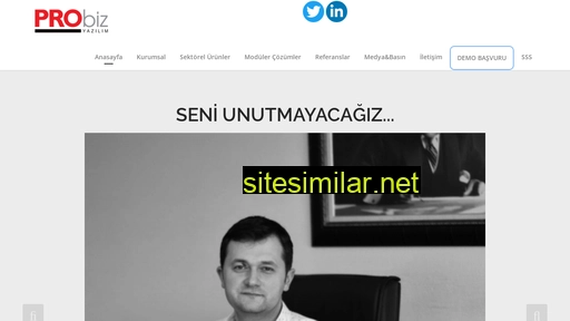 probizyazilim.com alternative sites
