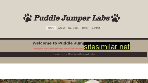 puddlejumperlabs.com alternative sites