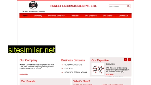 Puneetlabs similar sites