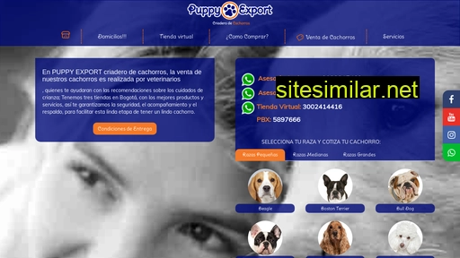 puppyexport.com alternative sites