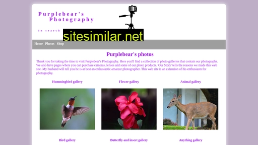 purplebearsphotography.com alternative sites