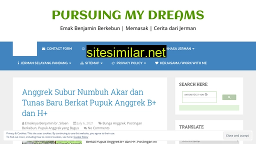 pursuingmydreams.com alternative sites