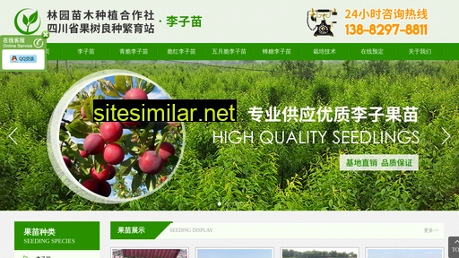 qinzi520.com alternative sites