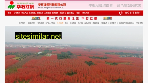 qiuhongfeng.com alternative sites