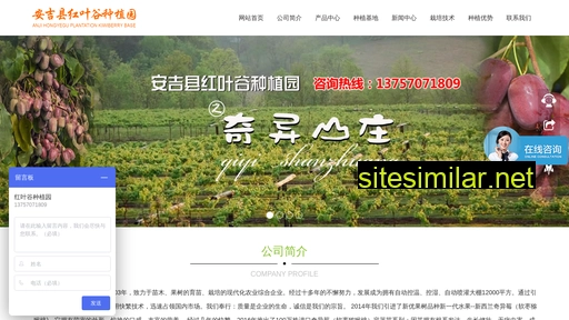 Qiyimei365 similar sites