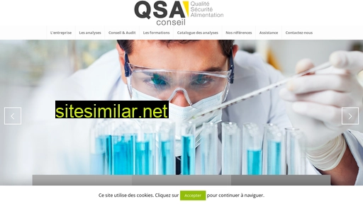qsa-conseil.com alternative sites