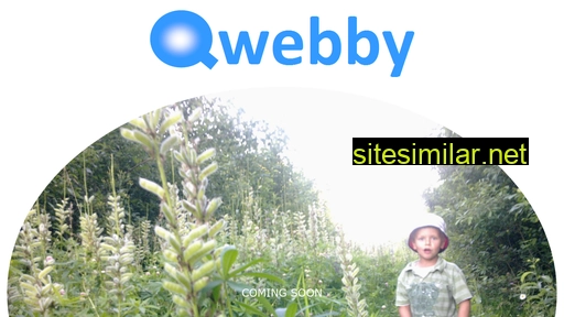 qwebby.com alternative sites