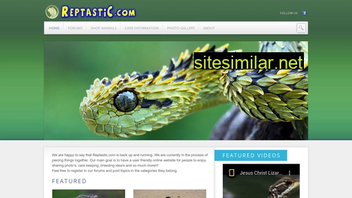 reptastic.com alternative sites