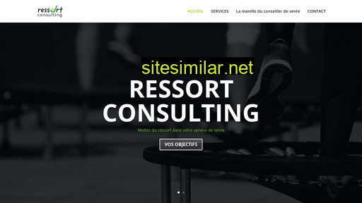 ressort-consulting.com alternative sites