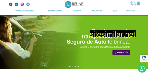 reune.com alternative sites