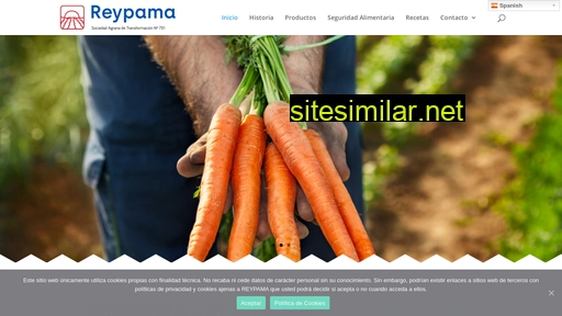 reypama.com alternative sites