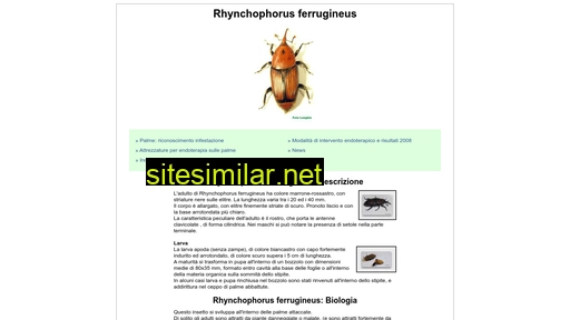 rhynchophorus.com alternative sites