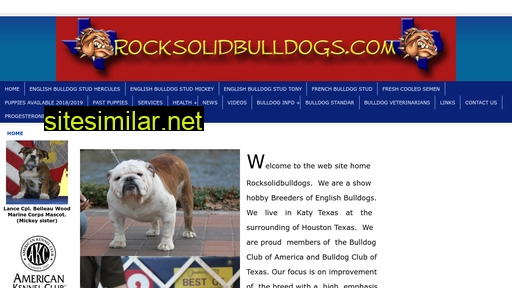 rocksolidbulldogs.com alternative sites