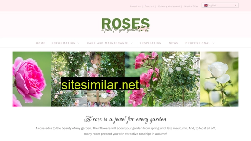 Roses4gardens similar sites