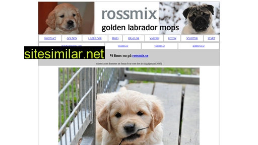 Rossmix similar sites