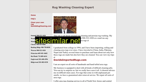 rugwashingexpert.com alternative sites