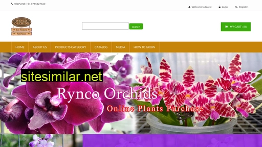 Ryncoorchids similar sites