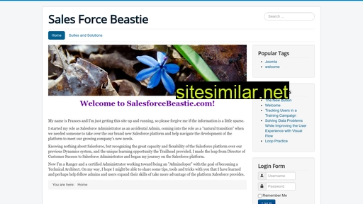 Salesforcebeastie similar sites