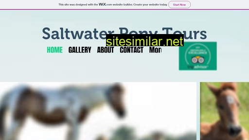 saltwaterponytours.com alternative sites