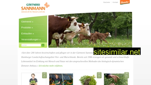 sannmann.com alternative sites