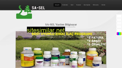 saselsoft.com alternative sites