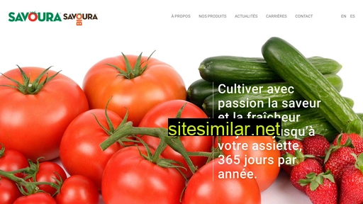 savoura.com alternative sites