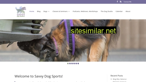 savvydogsports.com alternative sites