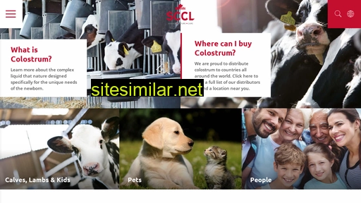 sccl.com alternative sites