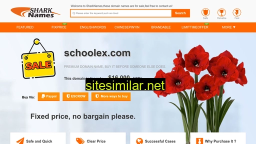 schoolex.com alternative sites