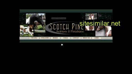 scotchpinepintabians.com alternative sites