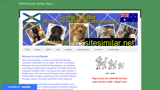 Scotiadoodles similar sites