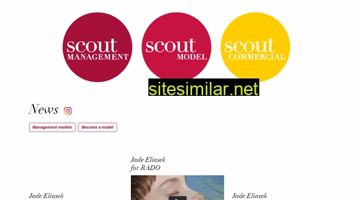 scout-management.com alternative sites