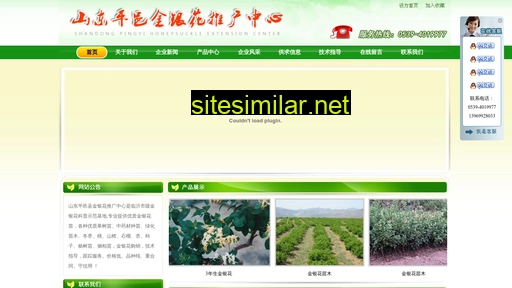 Sdjinyinhua similar sites