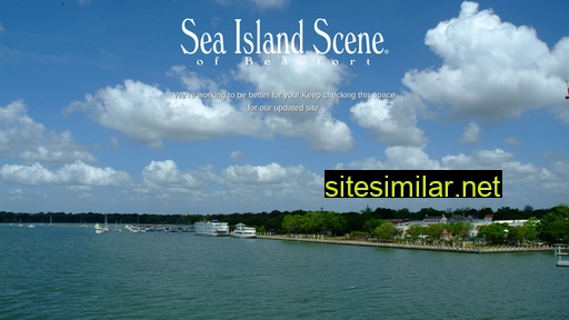 seaislandscene.com alternative sites