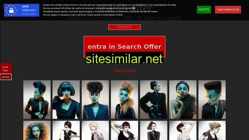 Search-offer similar sites