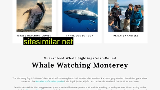 seagoddesswhalewatch.com alternative sites