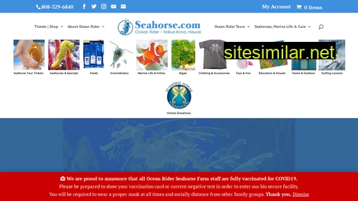 Seahorse similar sites