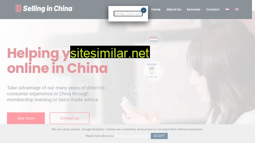 Sellinginchina similar sites