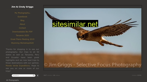 Selective-focus similar sites