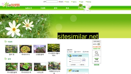 seoulflora.com alternative sites