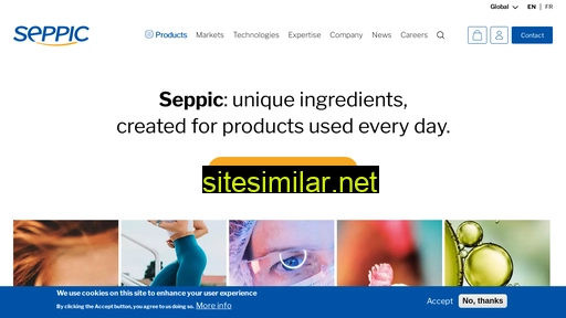 seppic.com alternative sites