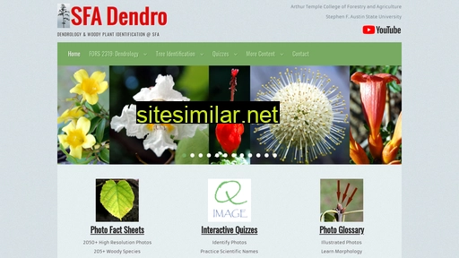 sfadendro.com alternative sites