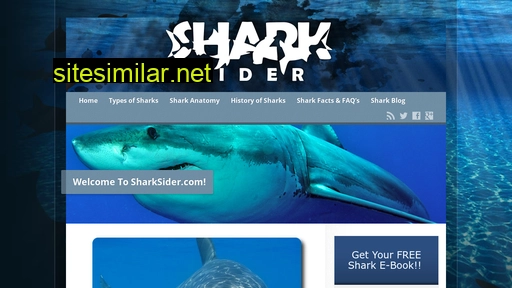 sharksider.com alternative sites