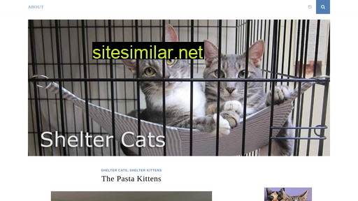shelter-cats.com alternative sites